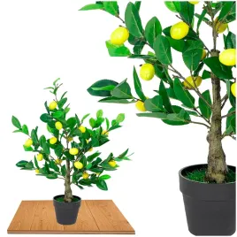 roslina-doniczkowa-drzewko-cytrynowe-5229-70-cm