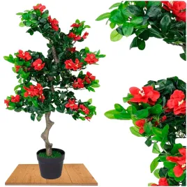 roslina-doniczkowa-drzewko-hibiskusa-5350-90-cm