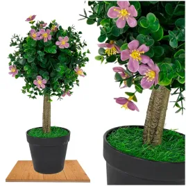 roslina-doniczkowa-drzewko-bukszpanowe-5514-40-cm