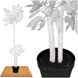 roslina-doniczkowa-eukaliptus-5217-140-cm