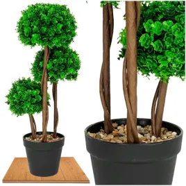 roslina-doniczkowa-drzewko-topiary-5244-50-cm