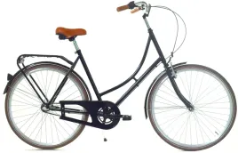 rower-dallas-holland-city-28-3spd-damka