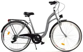 rower-dallas-city-28-7spd