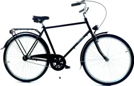 rower-dallas-holland-city-28-1spd-meski