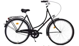 rower-dallas-holland-city-28-1spd-damka