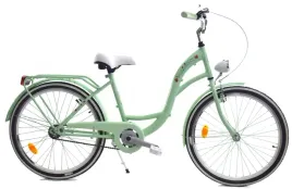 rower-dallas-city-26-1spd