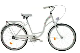 rower-dallas-city-26-1spd
