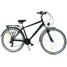 rower-dallas-city-trekking-alu-men-28-21spd