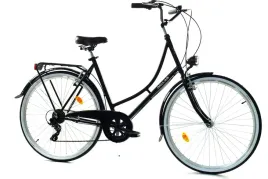 rower-dallas-holland-city-28-7spd-damka