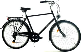 rower-dallas-holland-city-28-7spd-meski