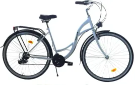 rower-dallas-city-28-21spd