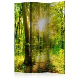 parawan-dwustronny-pokojowy-3-czesci-promienie-slonca-las-natura-135x172