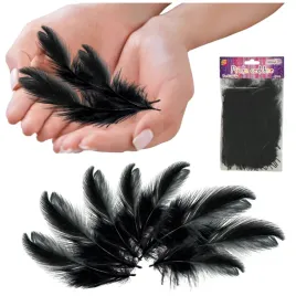 piorka-dekoracyjne-piora-czarne-scrapbooking-diy-rekodzielo-ozdobne-50-szt