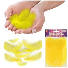 piorka-dekoracyjne-piora-zolte-scrapbooking-diy-rekodzielo-ozdobne-50-szt