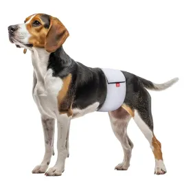 waudog-vet-pas-higieniczny-dla-psow-samcow-z-zapieciem-na-rzep-hhs