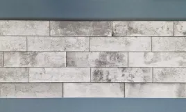kamien-elewacyjny-piatto-gris-300x74x9