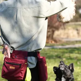 saszetka-treningowa-na-spacer-z-psem-shithappens-dog-bordo-rozmiar-paska-l