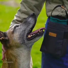 shit-happens-dog-mala-kieszen-do-saszety-szarawa-wymienny-organizer