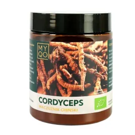 myqo-bio-cordyceps-sinensis-maczuznik-chinski-ekstrakt-w-proszku-1