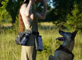 shit-happens-dog-saszetka-treningowa-zebra-dla-psa-rozmiar-paska-l
