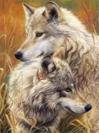 malowanie-po-numerach-40x50cm-wilki
