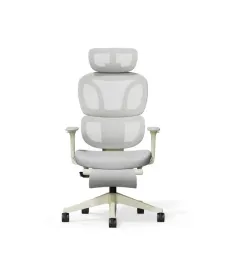 krzeslo-ergonomiczne-biurowe-flexispot-bs5-poduszka-chmura-podnozek-szare
