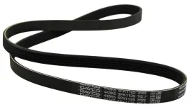 dayco-5pk1125-pasek-klinowy-wielorowkowy