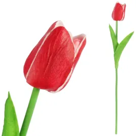 tulipan-pojedynczy-kolor-czerwono-bialy-dekoracja-ozodba-do-wazonu-wiosenna