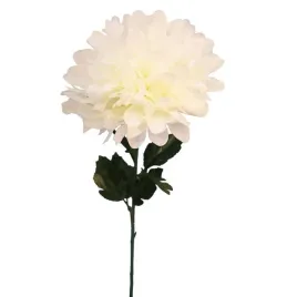 chryzantema-pojedynczy-kwiat-fi-20cm-bialy-dekoracja-ozdoba-do-wazonu-75cm