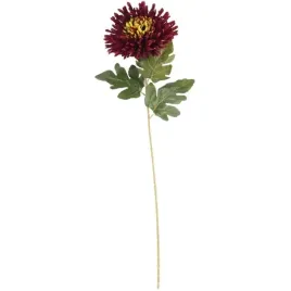 chryzantema-76-cm-bordowa-kwiat-pojedynczy-do-wazonu-i-kompozycji-ozdoba