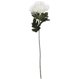 chryzantema-76cm-biala-pojedynczy-kwiat-do-kompozycji-florystycznych-ozdoba