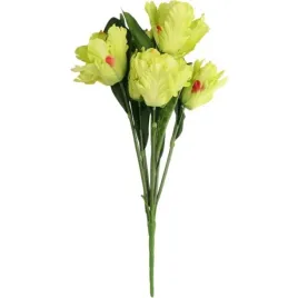 bukiet-7-tulipanow-papuzich-54-cm-zielony-dekoracja-ozdoba-wiazanka-kwiaty