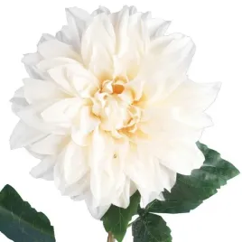 daliia-duzy-kwiat-pojedynczy-kremowa-74-cm-dekoracja-ozdoba-do-wazonu