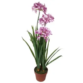 rozowy-dekoracyjny-czosnek-w-doniczce-o-wysokosci-85-cm-gotowa-ozdoba