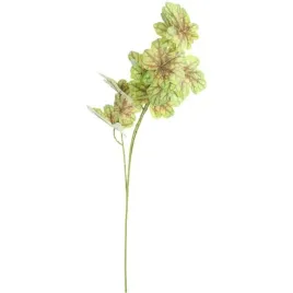 caladium-galazka-lisci-ozdobnych-82-cm-kolor-zielony-dekoracja-ozdoba-wazon