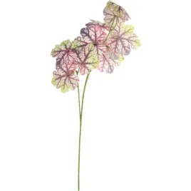 caladium-galazka-lisci-ozdobnych-82-cm-kolor-fioletowy-dekoracja-ozdoba
