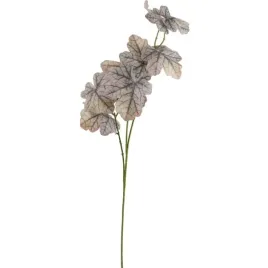 caladium-galazka-lisci-ozdobnych-82-cm-kolor-czarny-dodatek-wypelniacz