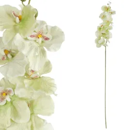 storczyk-orchidea-galazka-9-kwiatow-105cm-limonka-ozdoba-do-wazonu-stroik