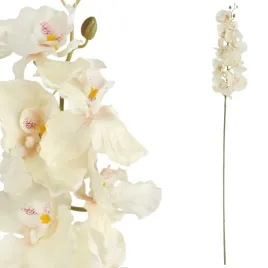 storczyk-orchidea-galazka-9-kwiatow-105-cm-kremowa-dekoracja-na-wesele-slub