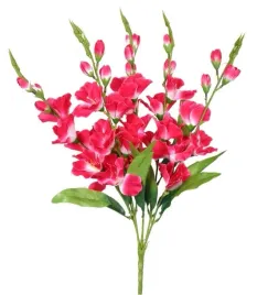bukiet-5-rozowo-bialych-gladioli-o-wysokosci-60-cm-dekoracja-ozdoba-kwiaty