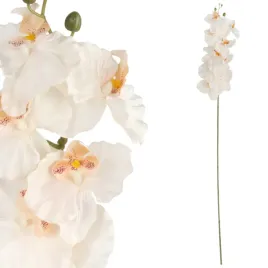 storczyk-orchidea-galazka-9-kwiatow-105-cm-kremowo-rozowa