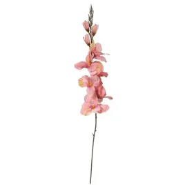 gladiola-jasno-rozowa-70cm-kwiaty-wiosenne-wielkanocne-dekoracja-do-wazonu