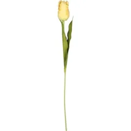 tulipan-strzepiasty-54-cm-kremowy-dekoracja-do-wazonu-stroikow-wielkanoc