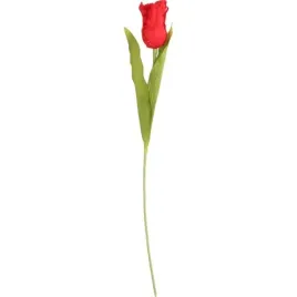 tulipan-strzepiasty-54-cm-czerwony-dekoracja-ozdoba-do-wazonu-na-stroik
