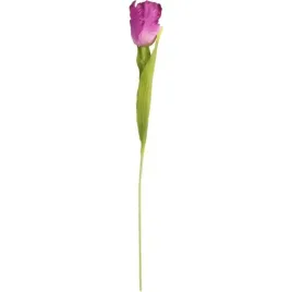 tulipan-strzepiasty-54-cm-fioletowy-pojedynczy-do-kompozycji-wielkanocnych