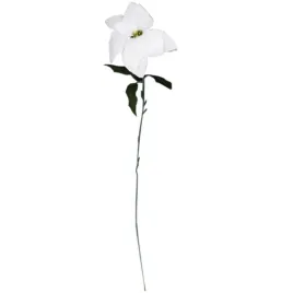 kwiat-pojedynczy-gwiazda-betlejemska-poinsecja-64-cm-biala-boze-narodzenie
