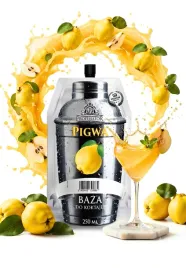 koncentrat-syrop-barmanski-baza-do-nalewek-profimator-pigwa-250-ml