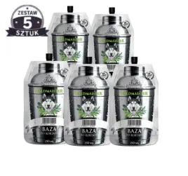 5x-koncentrat-waldmaister-250ml-zestaw-5-sztuk