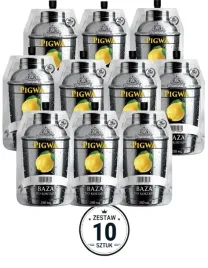 10x-koncentrat-pigwa-250ml-zestaw-10-sztuk-profimator-zestaw-syrop-drink