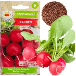 rzodkiewka-nasiona-rzodkiewki-carmen-czerwona-wczesna-nie-parcieje-10g